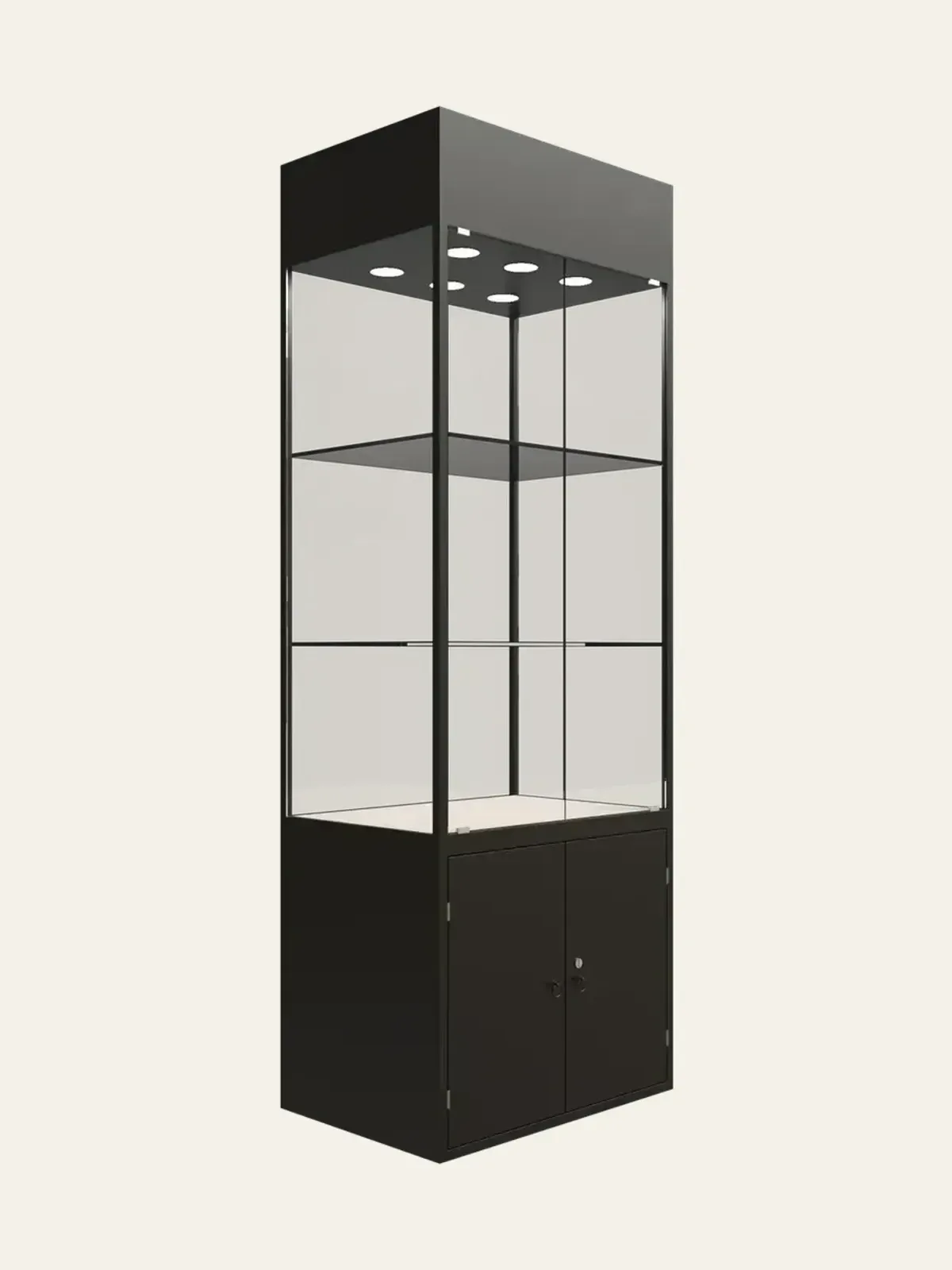 Figure Display Cabinet 2 view 1