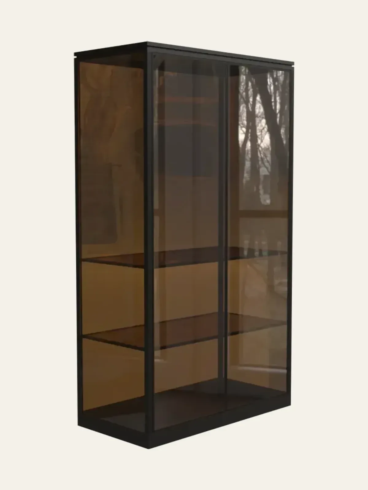Figure Display Cabinet view 14